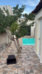 Flamingos Paraiso Chabihau