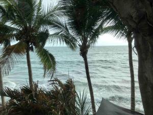 Playa Los Cocos Oceanfront Apartment