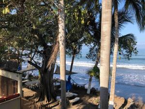 Playa Los Cocos Oceanfront Apartment