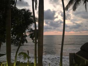 Playa Los Cocos Oceanfront Apartment
