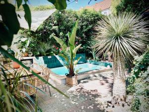 Unique House with private swimming pool by the sea - AFRA GROUP