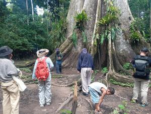 Amazon Macambo Lodge