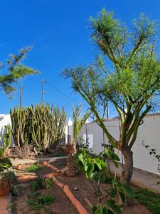 El Cardon Rooftop Suite La Lajita Fuerteventura