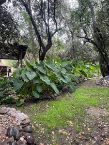 Refugio de lujo en naturaleza, Paine