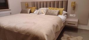 Apartments Renovated cozy studios