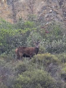 Il Mondo di Paola img30