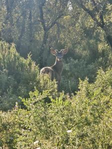 Il Mondo di Paola img31