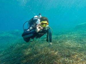 Il Mondo di Paola img33