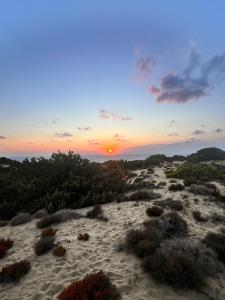 Il Mondo di Paola img39