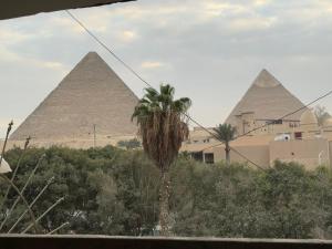 nirvana pyramids view