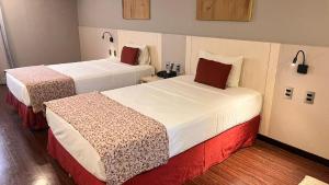 Royal Kingdom Macaé