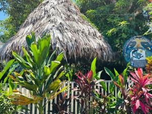 Apartamentos Equipados DMR #3