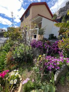 Tropical House
