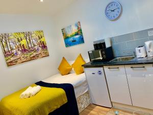 London Studio Apartments, Private Bathroom, Kitchenette, Parking, NP4