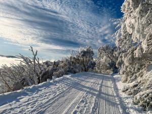 Cosy Mount Buller Alpine Chalet Sleeps 12