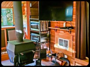 Nanooks Retreat- Pet Friendly Rustic Cabin with AC