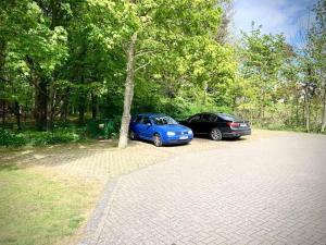 Haus Diana Fewo Molenfeuer und Waldblick