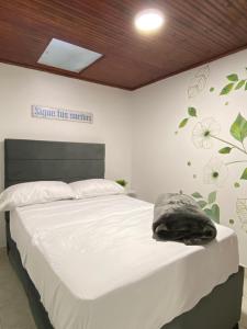 Hostal Amelia Filandia