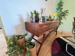 New luxury, stylish and confortable in Condesa