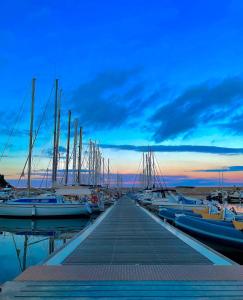 Pinnìga House Appartamento con maestosa vista sul mare