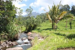 Gunung Luwih River Hideaway by The Travel Ubud Bali