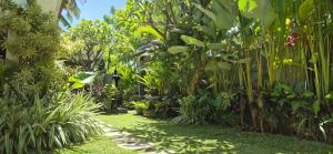 Jordi Homestay