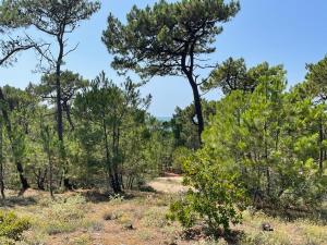 Maison confortable à LÉpine près des plages avec wifi gratuit - FR-1-823-100