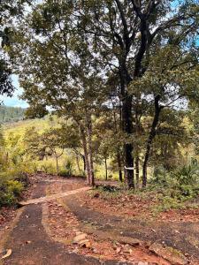 Nillamba Retreat