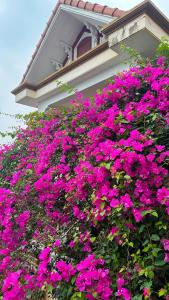 Lake View Motel - Tam Điệp Ninh Bình