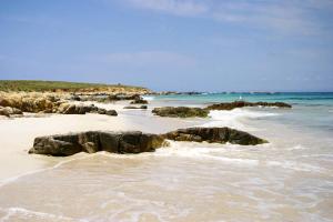 FrHome - Sa Murta Apartments img38