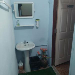 Universal Hostel