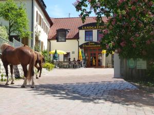 Landgasthof Zum Elsabauern