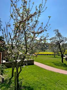 Hotel LandGut & Residenz DRIEHOF