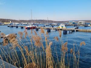 Ferienwohnung Zur Forelle direkt am Geiseltalsee Mücheln