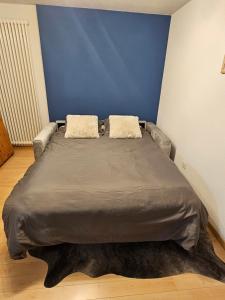Magnifique appartement rénové à Leukerbad