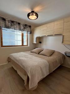 Alpine Apartment in Central Levi