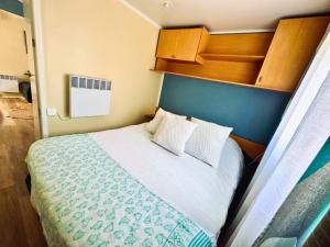Mobil-Home familial, Piscine et Toboggan aquatique