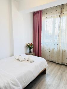 3 Bedroom Apartment at Palas Mall Iasi