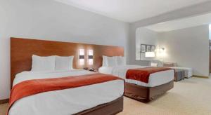 Comfort Suites La Porte - Baytown