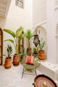 Riad Al Habba Al Hamra