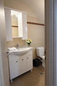 Olympus Cozy Apartment