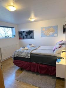 LAVA Studio Keflavik