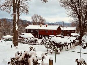 Apartment Saliba-Desná in the Jizera Mountains