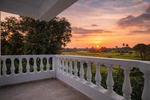 Spacious Quad Suite Rooms
