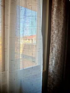 Hostel Room