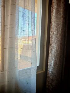 Hostel Room