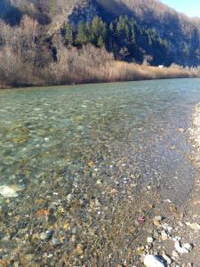 Guess House Tara Studio