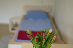 Haus Gänsefarm - Ihre Monteurs Wohnung -
