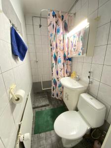 Central Ministudio