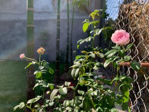 Tây An Homestay